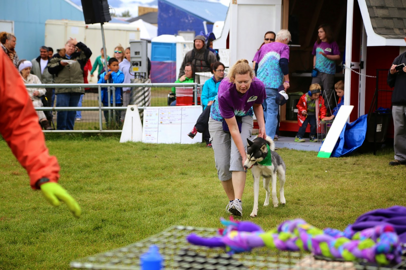 Huskie training, Alaska State Fair