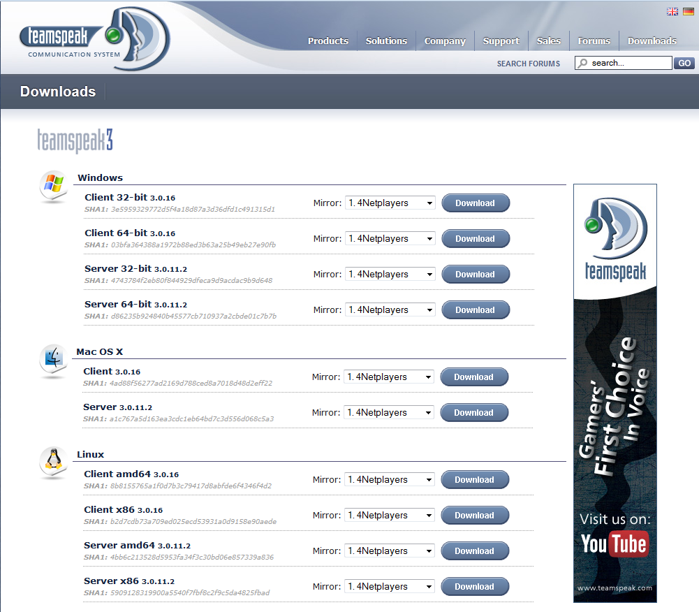 Healer S Rants Setting Up Teamspeak 3 Server