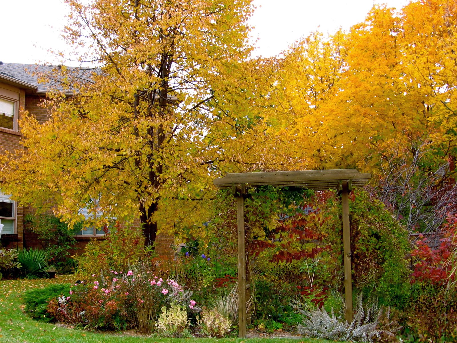 Astrid's Garden Design: January 2014