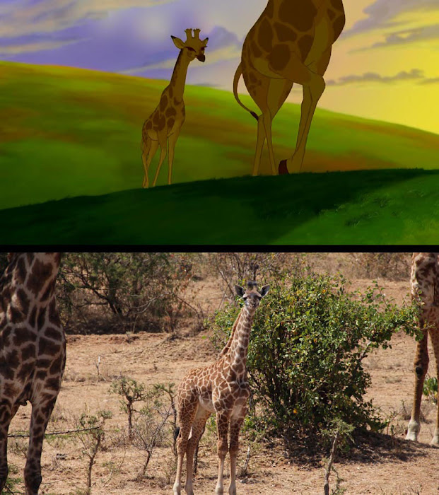 Escenas del Rey León vs un Safari de la vida real
