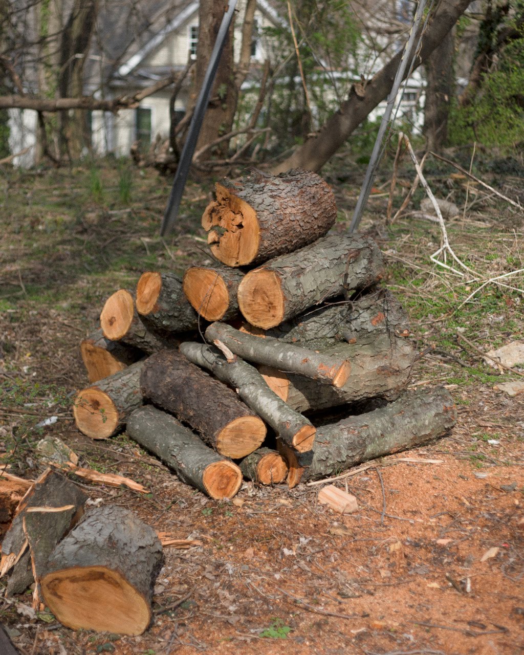 Thoughts, Specks & Keepings Farm house & log pile