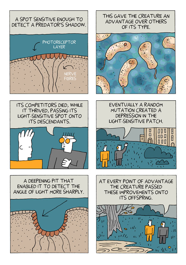 def shepherd How Evolution Works, in Comic Form So Easy a Caveman