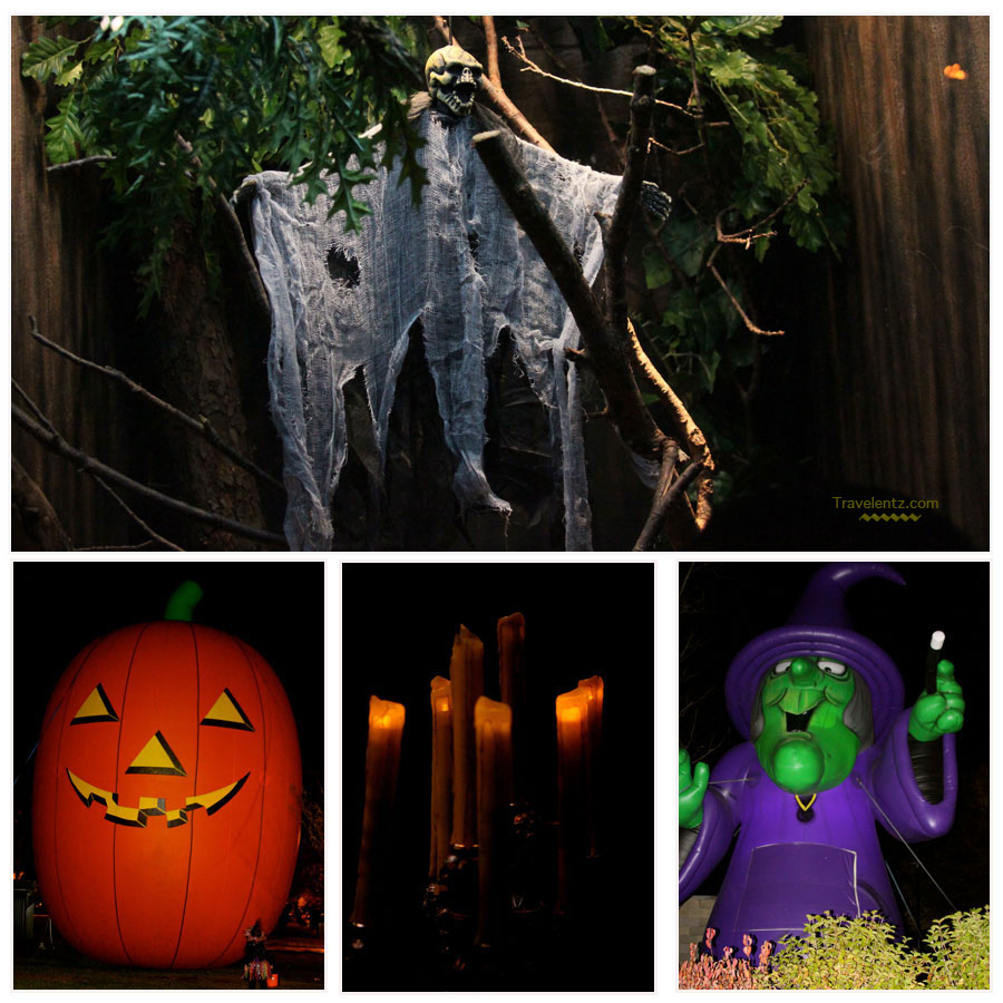 Cold at Detroit Zoo boo Travelentz Cold at Detroit Zoo boo Travelentz