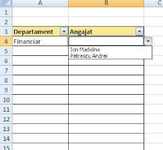 Functii Excel