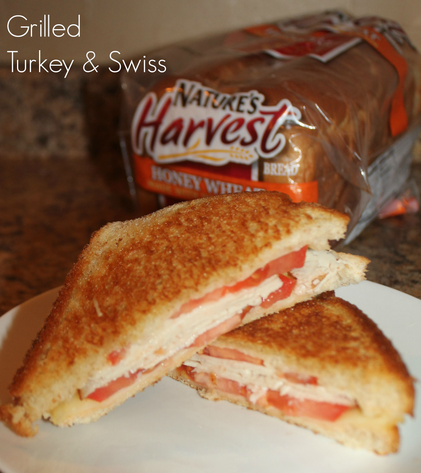 Quick & Easy Lunch Grilled Turkey & Swiss Sandwich A New Dawnn