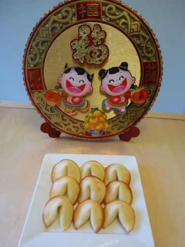 Kismet kreations Homemade Fortune Cookies for Chinese New Year