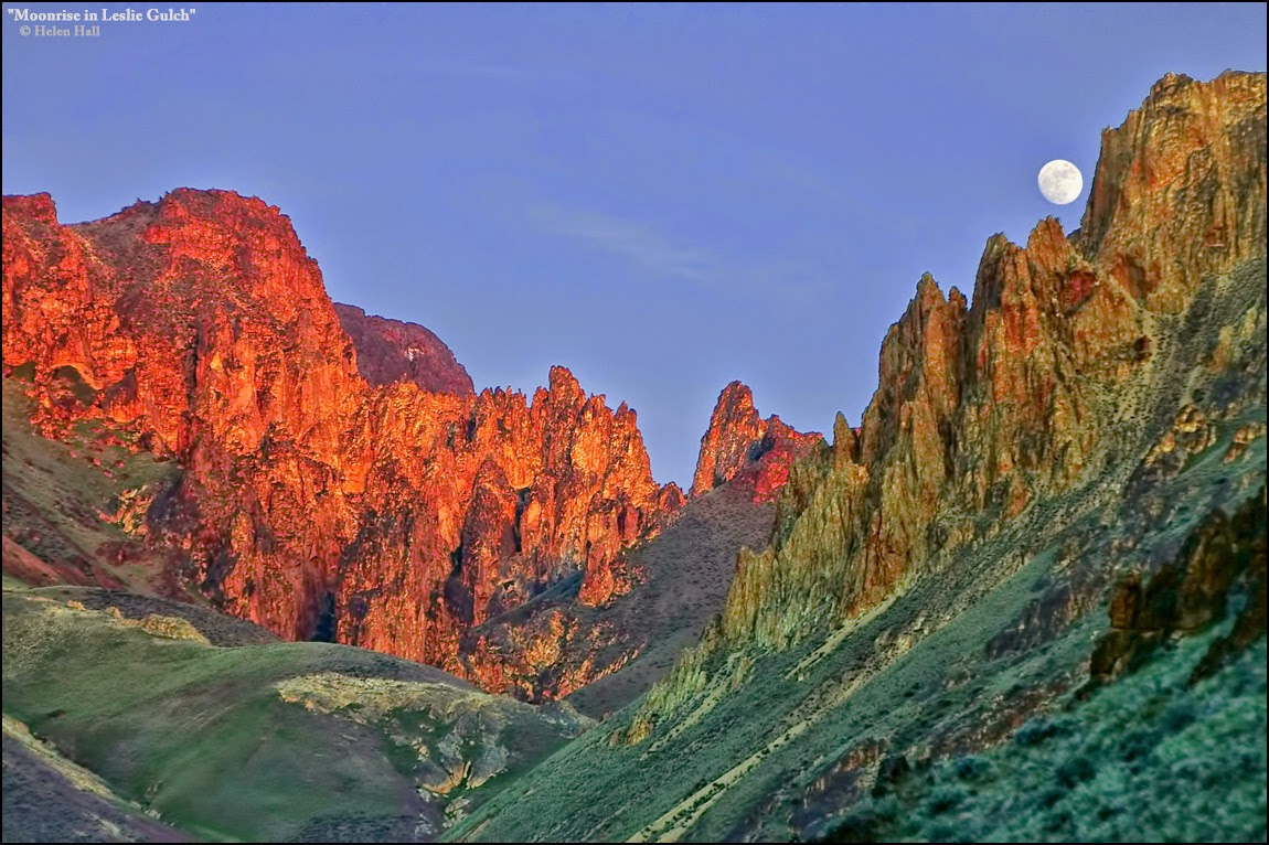 Stueby's Outdoor Journal No new snow might as well try winter