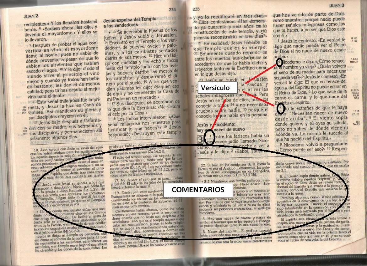TALLER PAREJAS CATÓLICAS GUÍA PARA BUSCAR EN LA BIBLIA