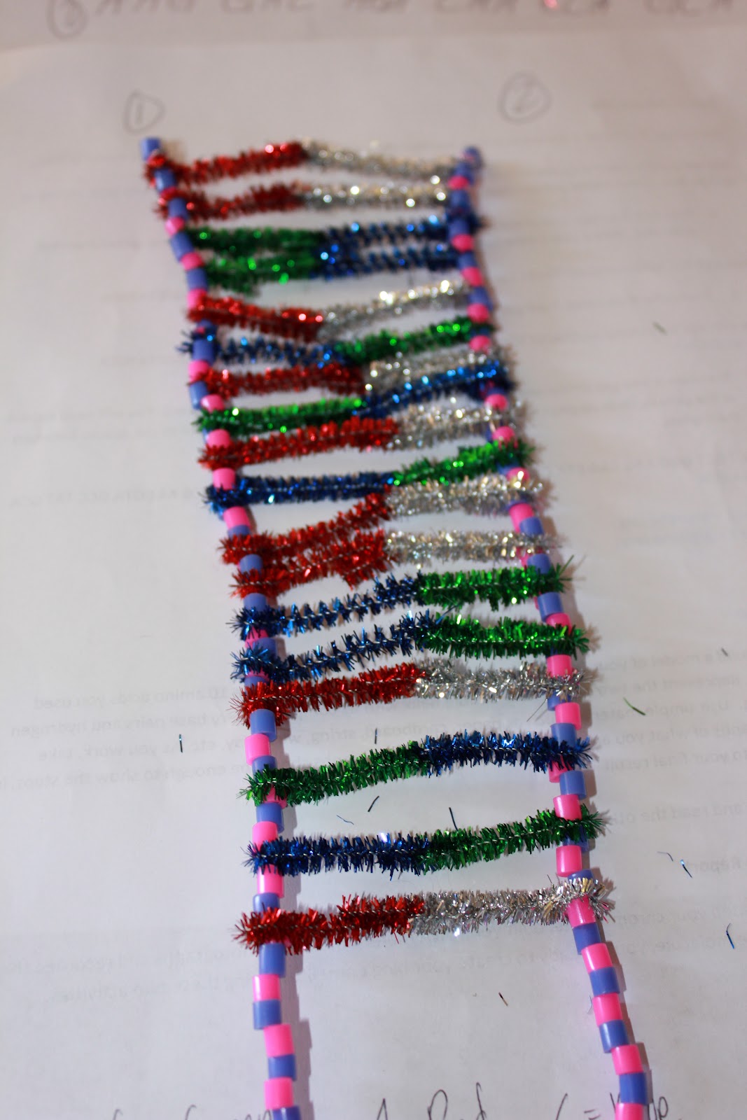 Biology Lab 2 Chromosome DNA Project