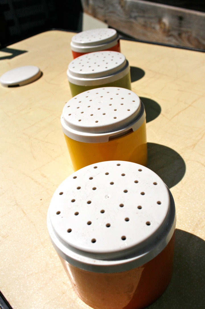 La puce au grenier décoration vintage Pot à condiments Tupperware