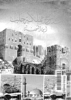 كتاب الدر المنتخب في تاريخ مملكة حلب 4357893457894