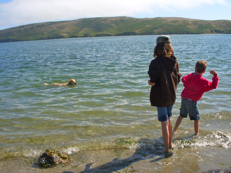 Honey's Treasures Camping Trip to Dillon Beach