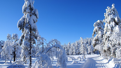 Beautiful winter scenery