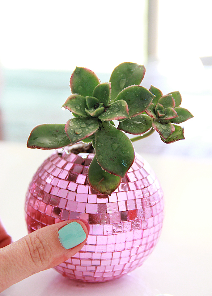 A Bubbly Life DIY Disco Ball Succulent Planters