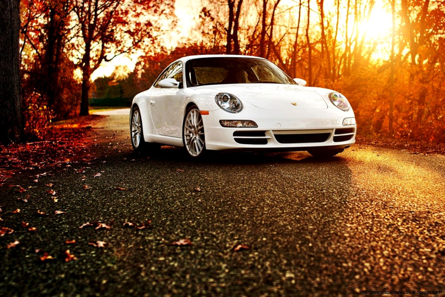 Porsche Porsche 911 Autumn Road Wallpaper Gallery for High