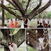 Viste el Árbol de tu Boda con Chandeliers.