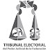 Tribunal Electoral determina que partidos no pueden ceder sus tiempos a terceros