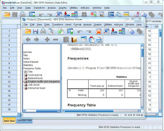 spss version 25 not launching side by side configuration error spss version 25 not launching side by side configuration error