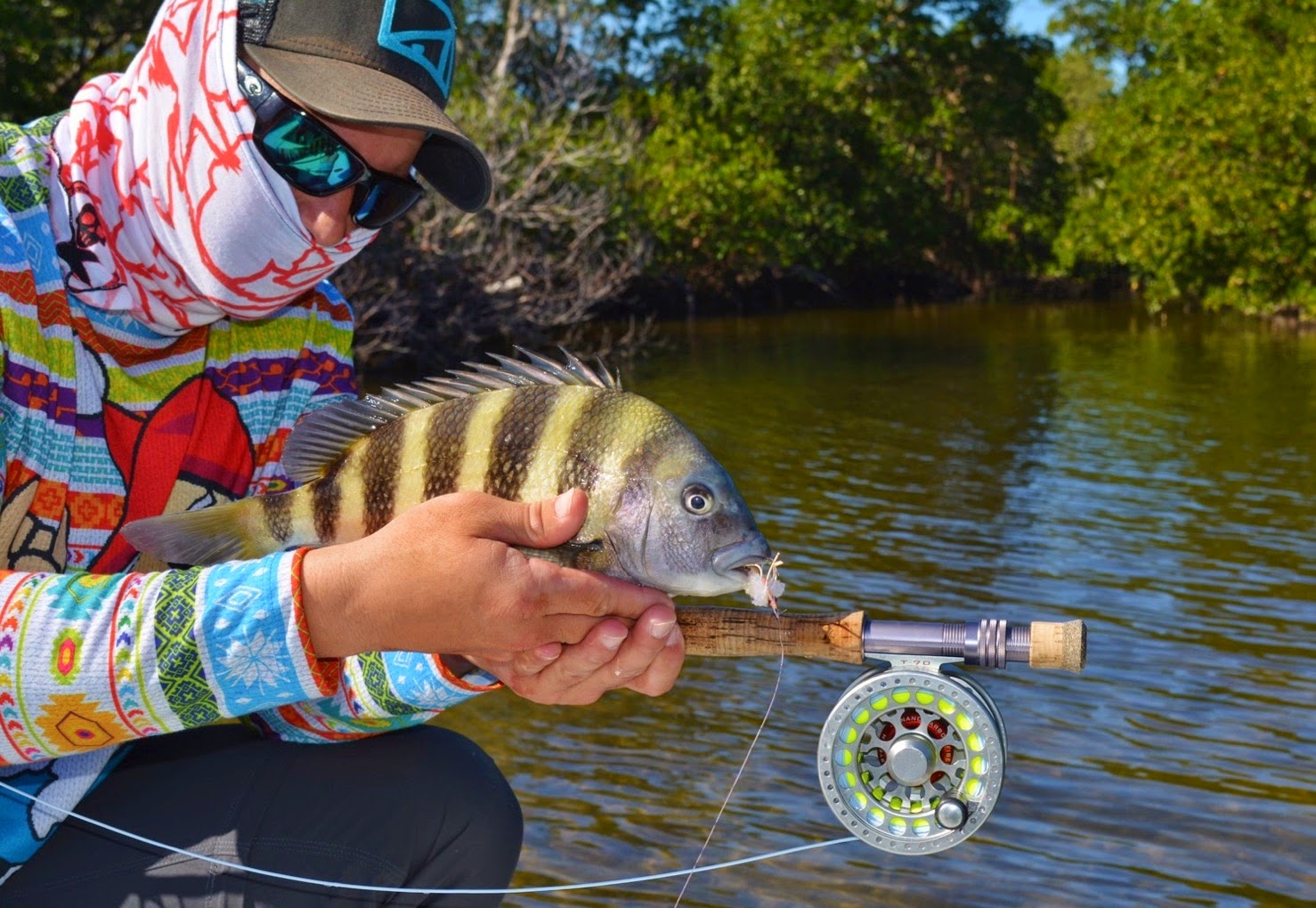 Sheepshead on Fly in Early Spring