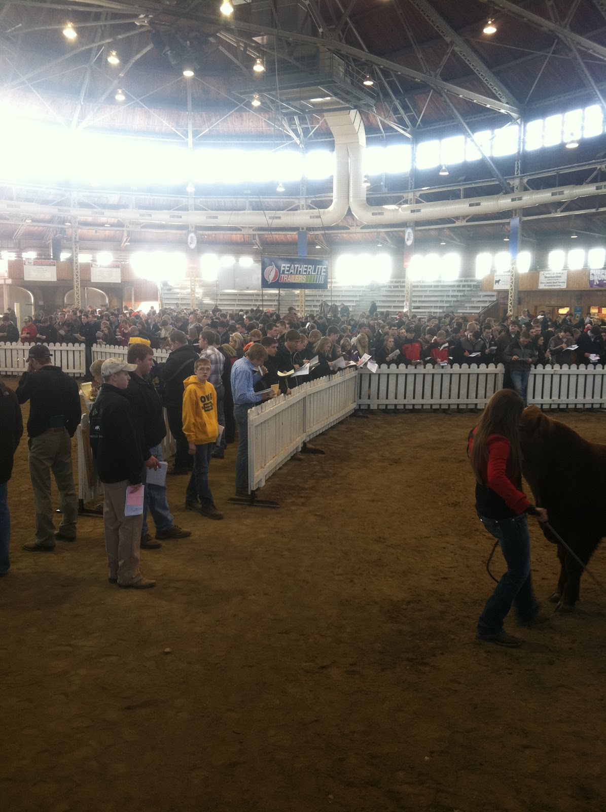 Holtkamp Cattle Co Judging contest at Iowa Beef Expo.