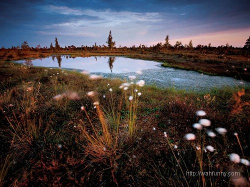 National_geographic_april_2011_15.jpg