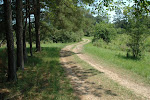 Emma Mead Harrell Homestead