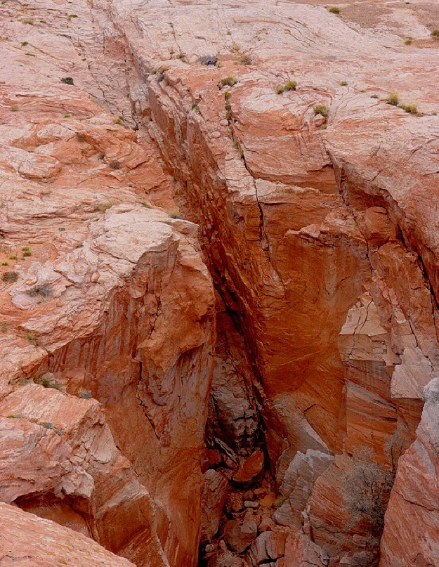 Gene's Family Tree THE LAND OF THE SLEEPING RAINBOW by IRENE WILSON K.I.