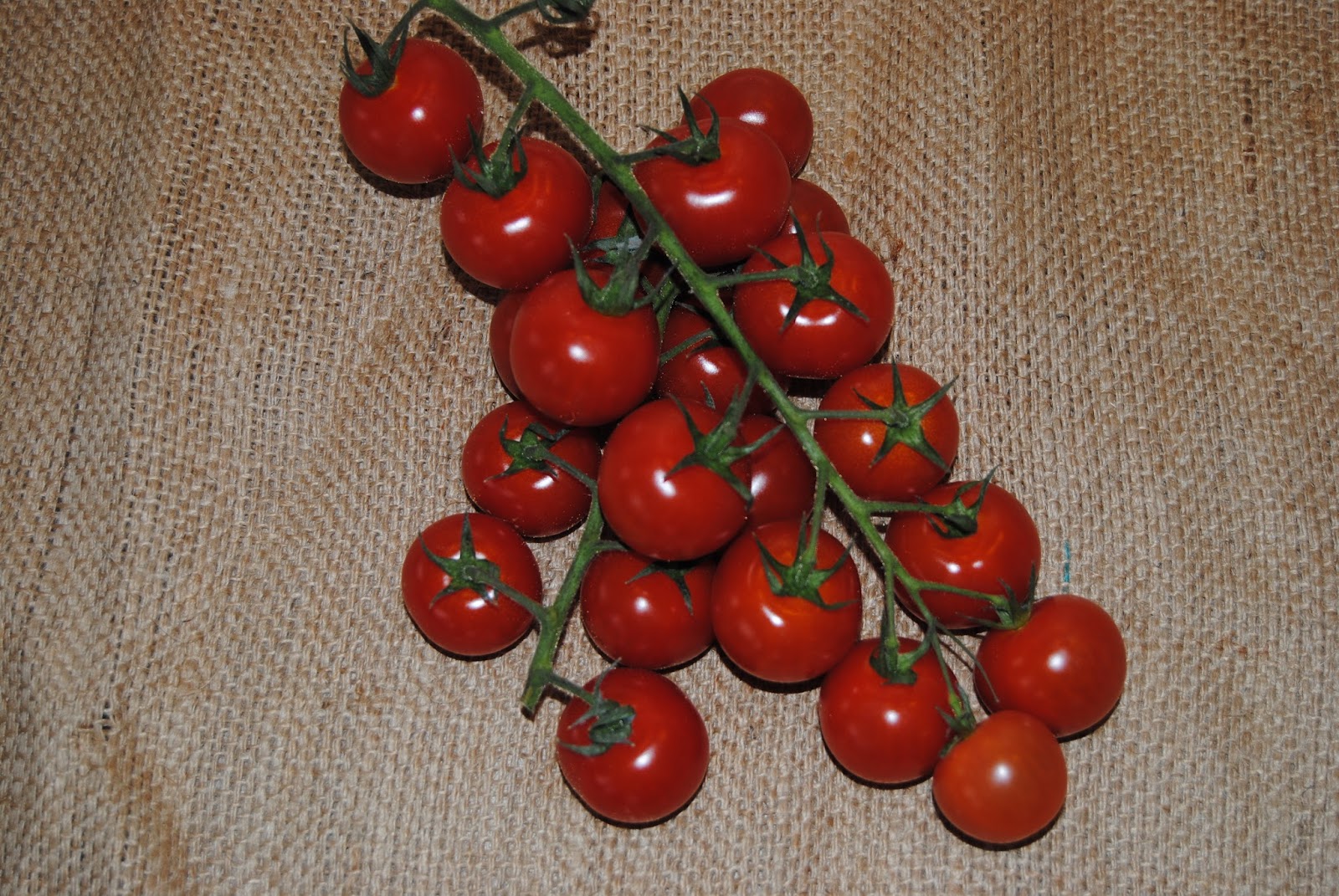 MY COSMOPOLITAN KITCHEN PAN ROASTED VINE BABY TOMATOES WITH PINE NUTS
