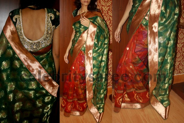 Spring Work Blouse with Silk Sari
