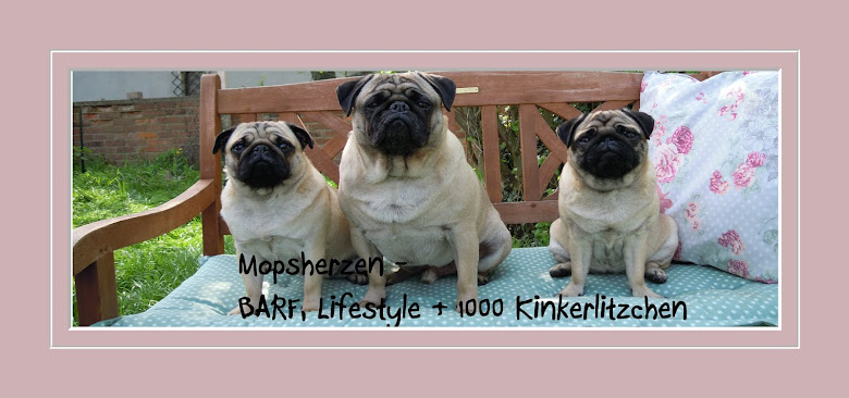 Mopsherzen - BARF, Lifestyle und 1000 Kinkerlitzchen