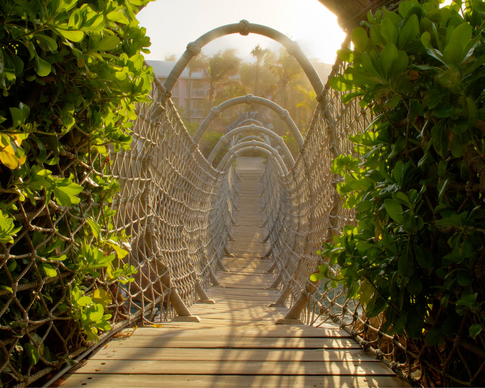 Josh Friedman Photography An Unofficial Guide to Photographing