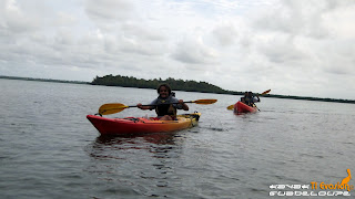 kayak guadeloupe 