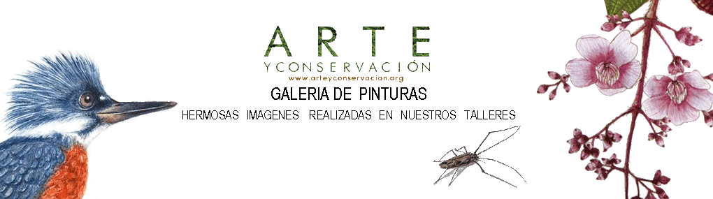 Arte y Conservación talleres