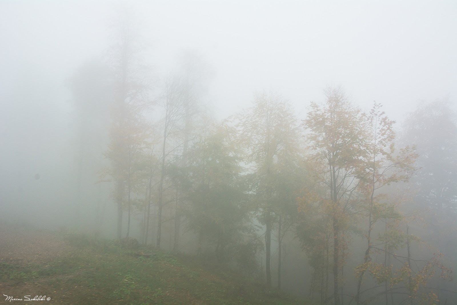 Блог Marina Sokalski (Марины Сокальски) : туман