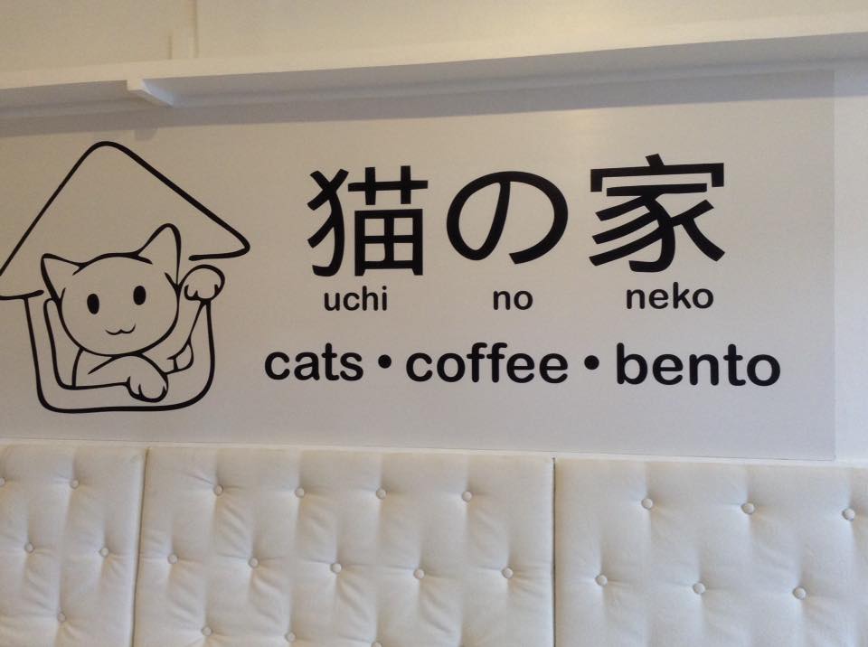 The Cat House Cafe, A Haven for Cat Lovers Mommy's MAG Life