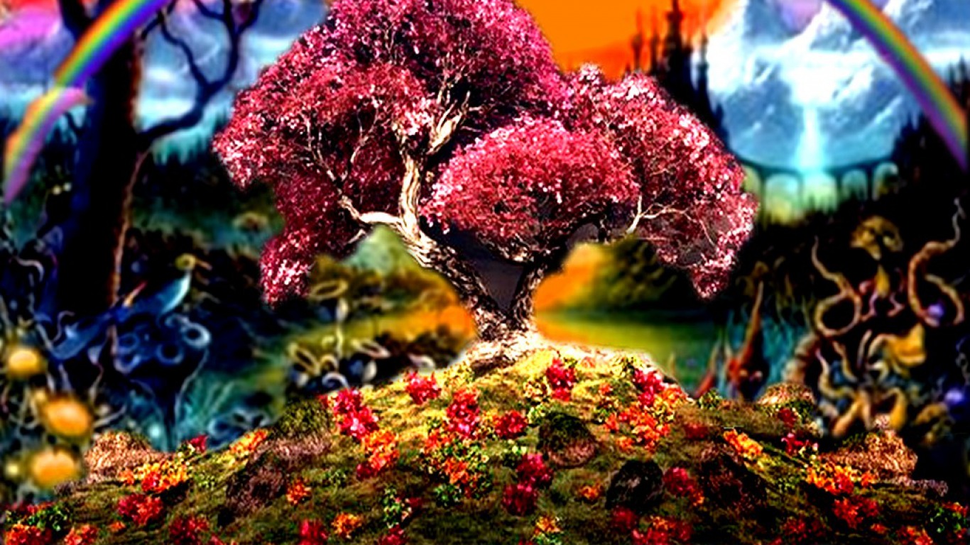 HD wallpapers for desktop android phones: nature hd wallpapers