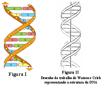 dna4.gif