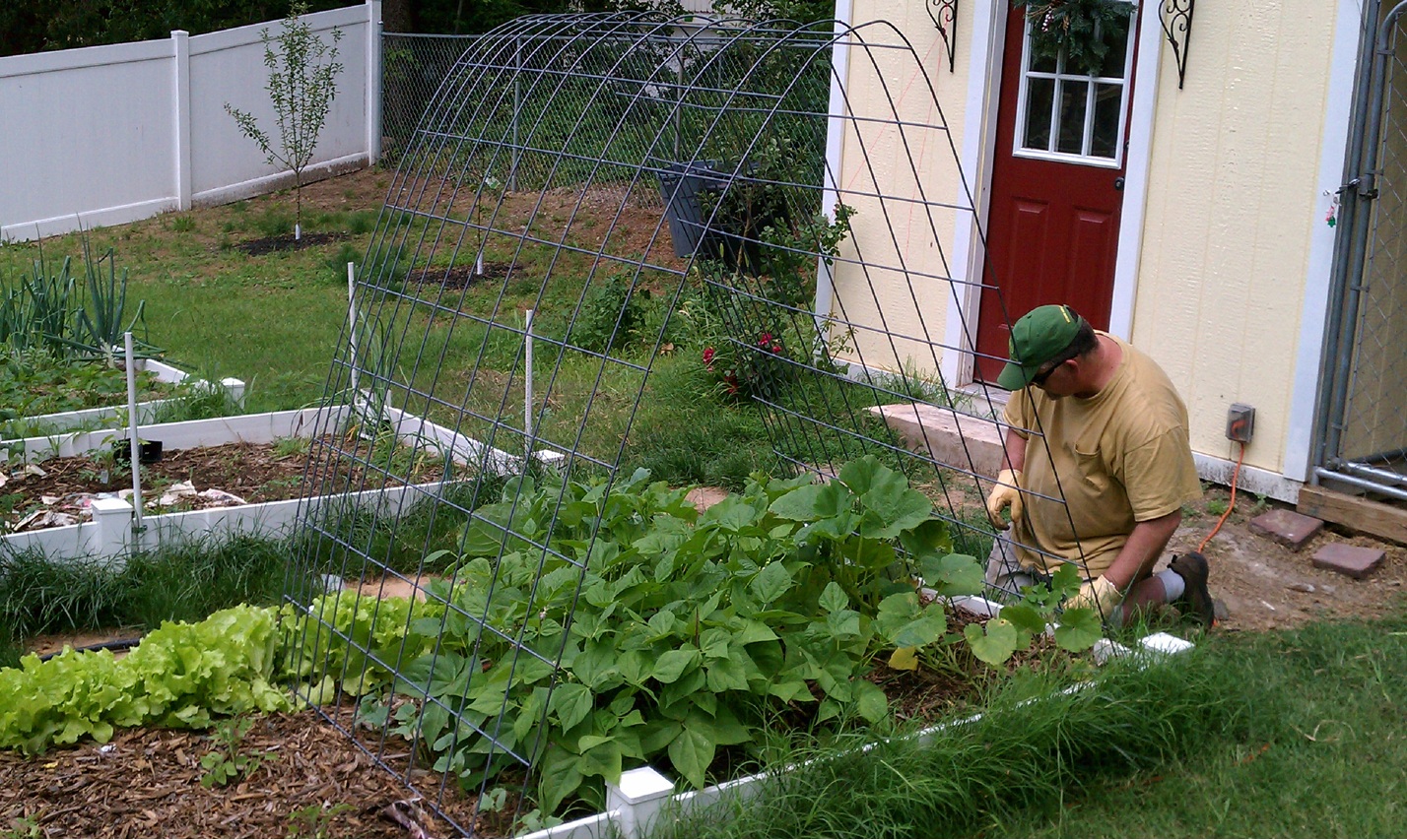 Cranky Puppy Farm Creative Gardening With Arches