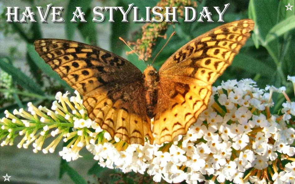 Have A Stylish Day