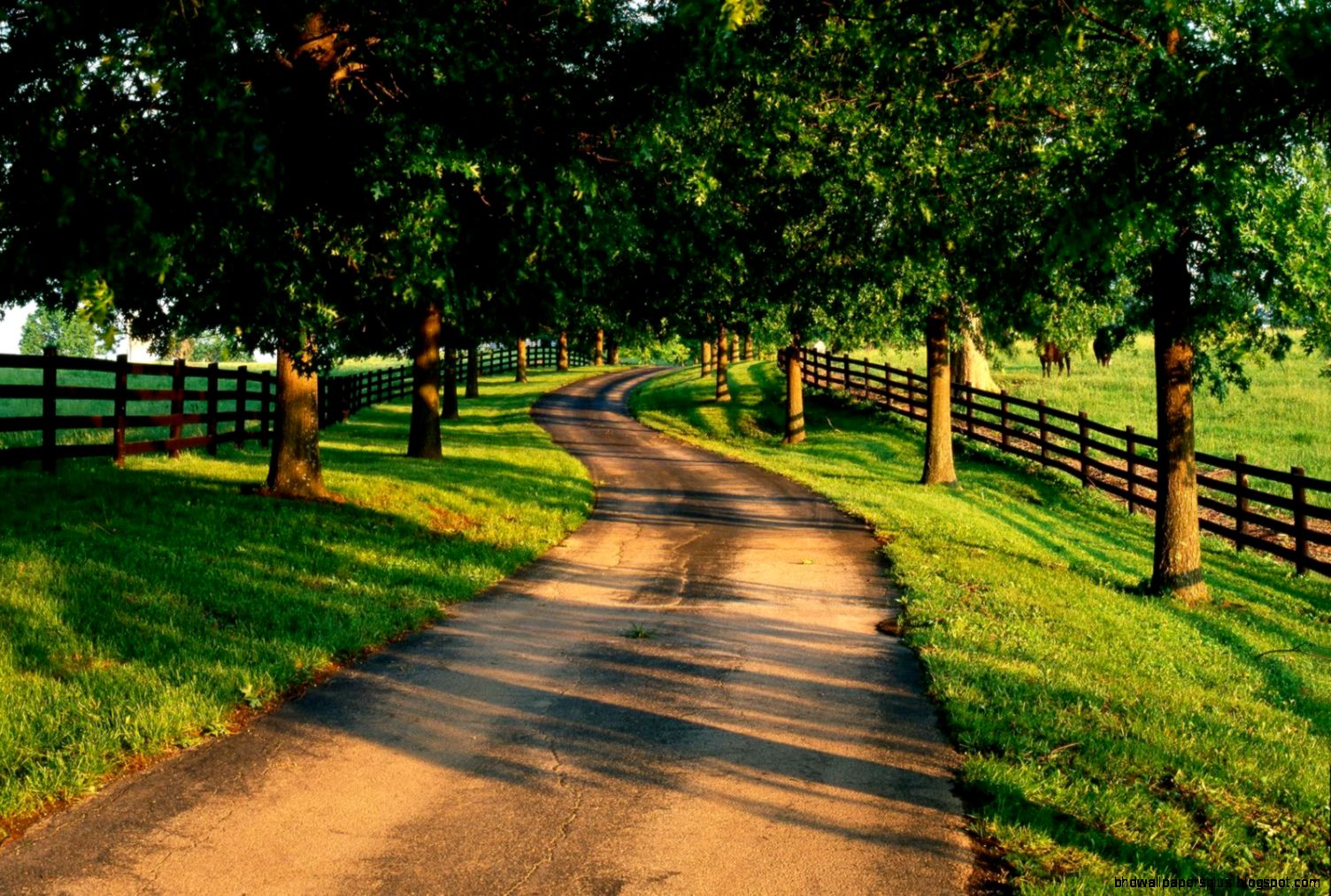 BEAUTIFUL NATURE BEAUTY WALLPAPERS HD  Our Dunya BEAUTIFUL NATURE BEAUTY WALLPAPERS HD  Our Dunya