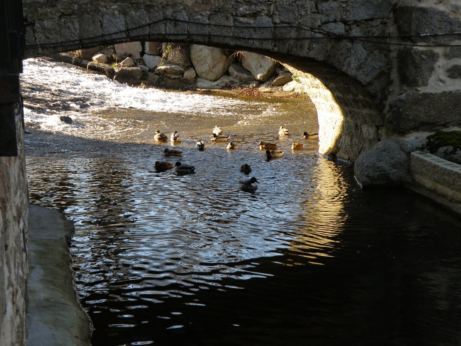 Restaurante el Molino de la Losa - Puente bajo el Puente