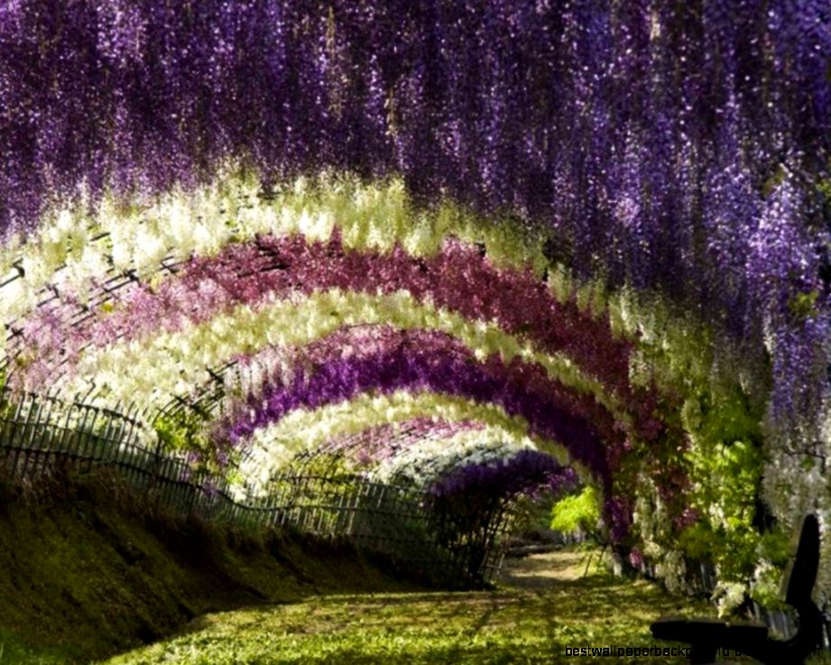 TOP 10 MOST EXOTIC PLACES TO VISIT EXOTIC HOLIDAYS YouTube TOP 10 MOST EXOTIC PLACES TO VISIT EXOTIC HOLIDAYS YouTube