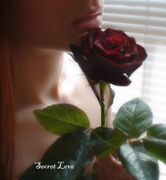 te regalo una rosa la encontre en el camino neruda