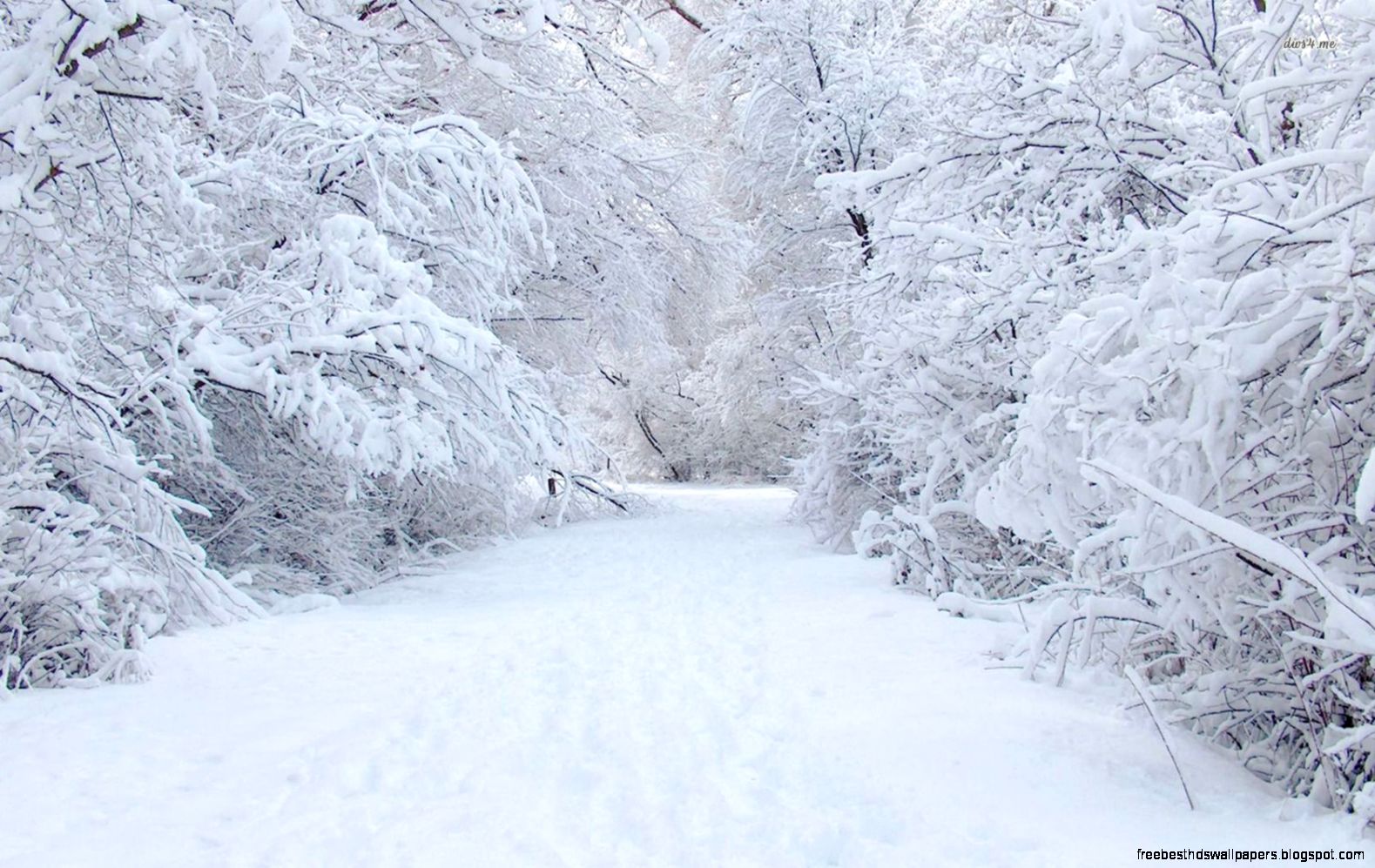 Snow Wallpaper Dr Odd Snow Wallpaper Dr Odd