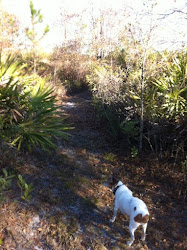 Gus likes the trail