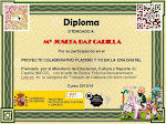 DIPLOMA