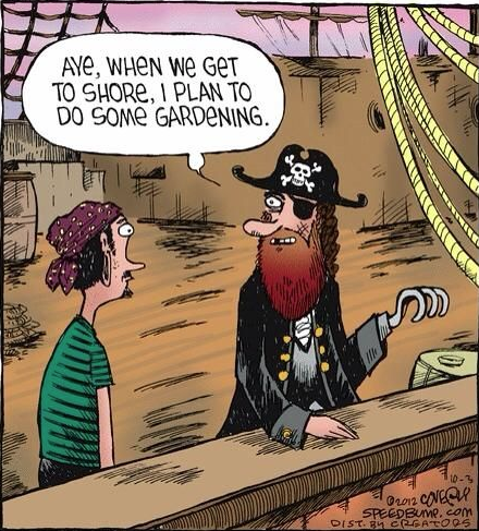 pirate dating jokes