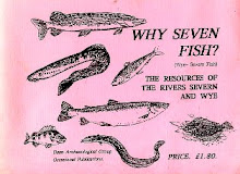Why Severn Fish