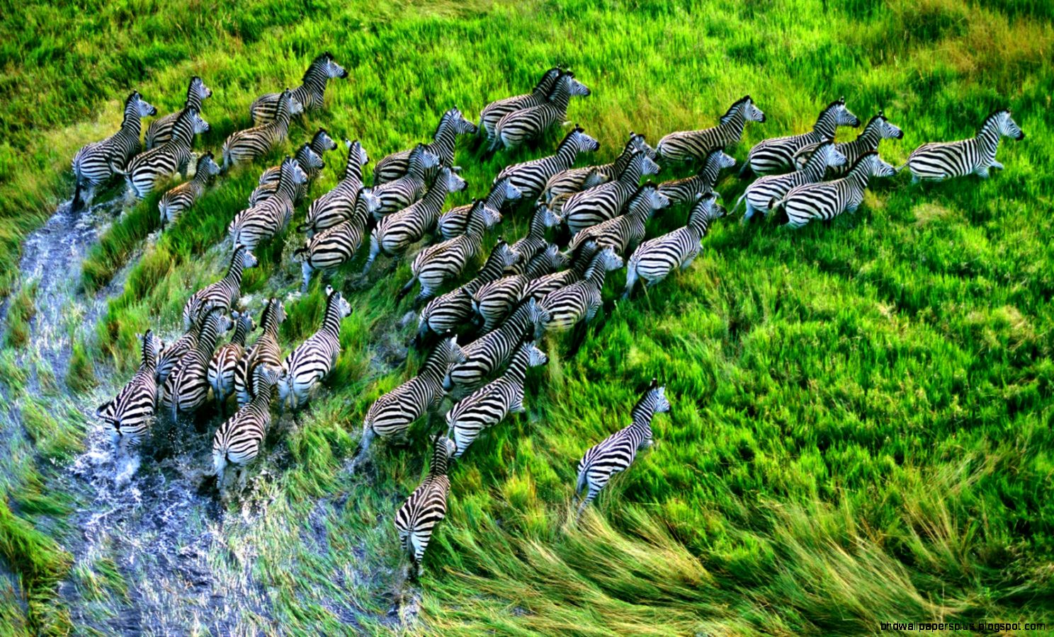 Ipad Retina Display Wallpapers Hr Hq Hd Socialphy 2048x2048PX Ipad Retina Display Wallpapers Hr Hq Hd Socialphy 2048x2048PX