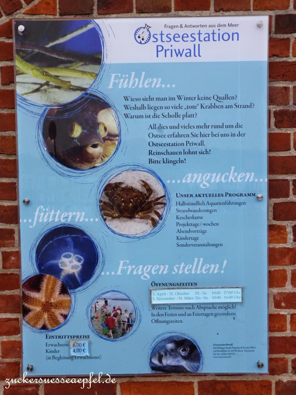 Kustenkidsunterwegs Urlaub Mit Kindern Tolle Aussichten Am Bodensee